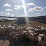 sergies-photovoltaique-chatillon-mouton