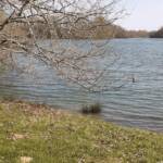 20220321_145554 (2) red