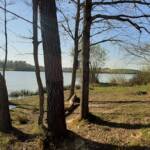 Plan d'eau de Tailluret