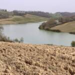 20220329_161133 red (2)