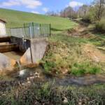 20220404_150512 red (2)