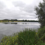 Ayguelongue Plan d'eau d'Ayguelongue