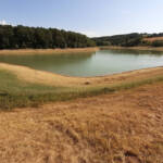 Plan d'eau de Bourgès en été