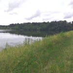 Plan d'eau de Fargues