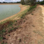 Plan d'eau d'Hagetmau