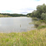 Plan d'eau de Lapeyrie au printemps